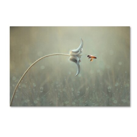 Trademark Fine Art Edy Pamungkas 'On The Way' Canvas Art, 12x19 1X01276-C1219GG